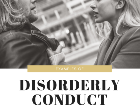 Examples of Disorderly Conduct in Illinois