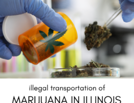Illegal Transportation of Medical and Recreational Cannabis in Illinois