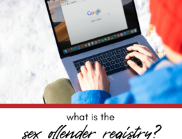 What is the Illinois State Police Sex Offender Registry