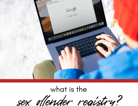 What is the Illinois State Police Sex Offender Registry