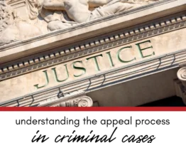 Understanding the Appeal Process in Criminal Cases in Illinois