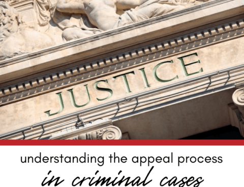 Understanding the Appeal Process in Criminal Cases in Illinois