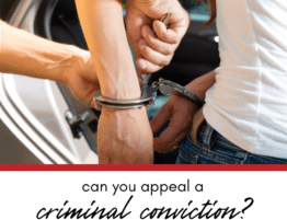 Can You Appeal a Criminal Conviction in Illinois?