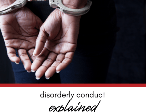 Disorderly Conduct in Chicago, Explained