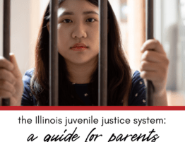The Illinois Juvenile Justice System: A Guide for Parents