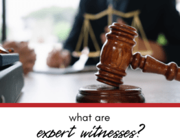 What Are “Expert Witnesses” in Criminal Trials in Illinois?